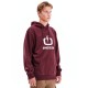 Φούτερ Emerson Classic Logo 252.EM20.01 Dusty Wine Φούτερ Φούτερ Emerson Classic Logo 252.EM20.01 Dusty Wine Φούτερ